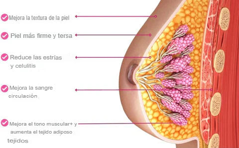 Breast Plumping™ Crece Pechos | OFERTA 42% SOLO POR HOY + Envío Gratis y Paga al Recibir